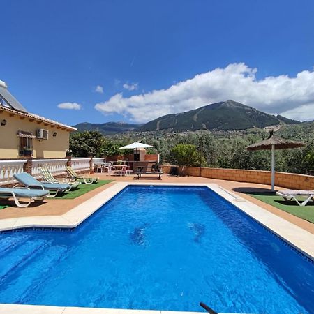 Los Olivos Malaga Luaran gambar