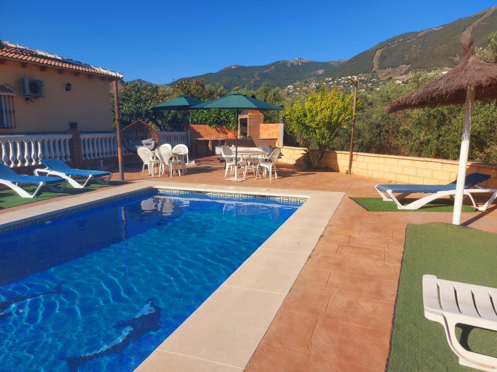 Los Olivos Malaga Bilik gambar